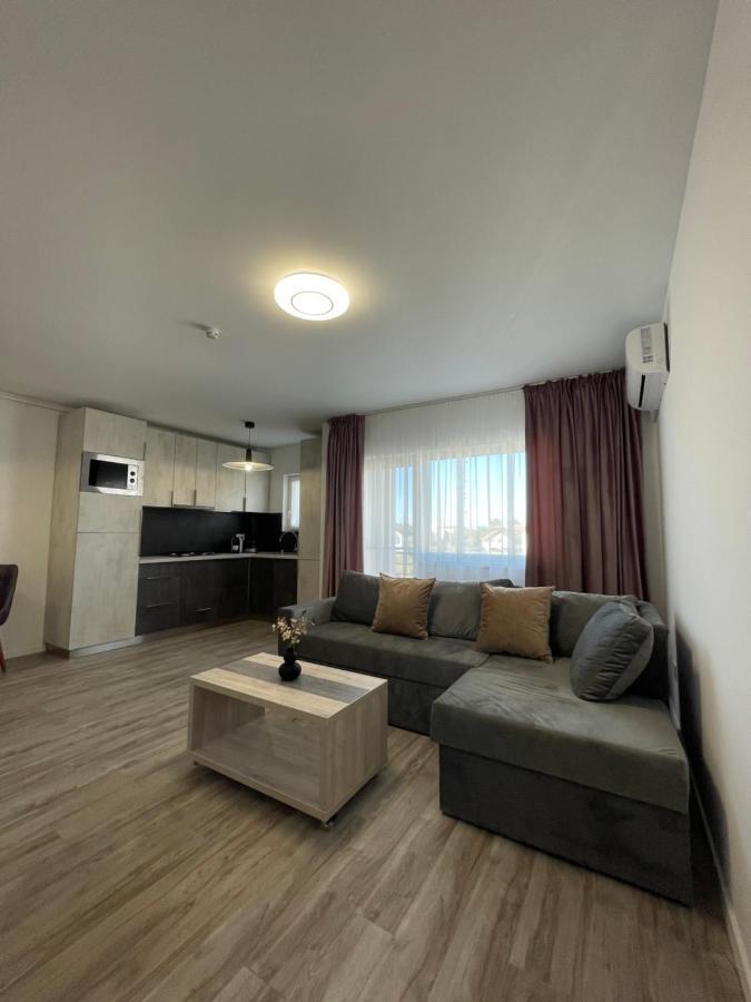 טימישוארה Comfort & Luxury Apartaments Pnmresidence מראה חיצוני תמונה