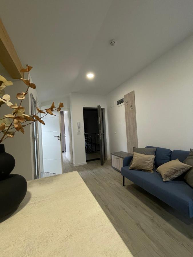 טימישוארה Comfort & Luxury Apartaments Pnmresidence מראה חיצוני תמונה