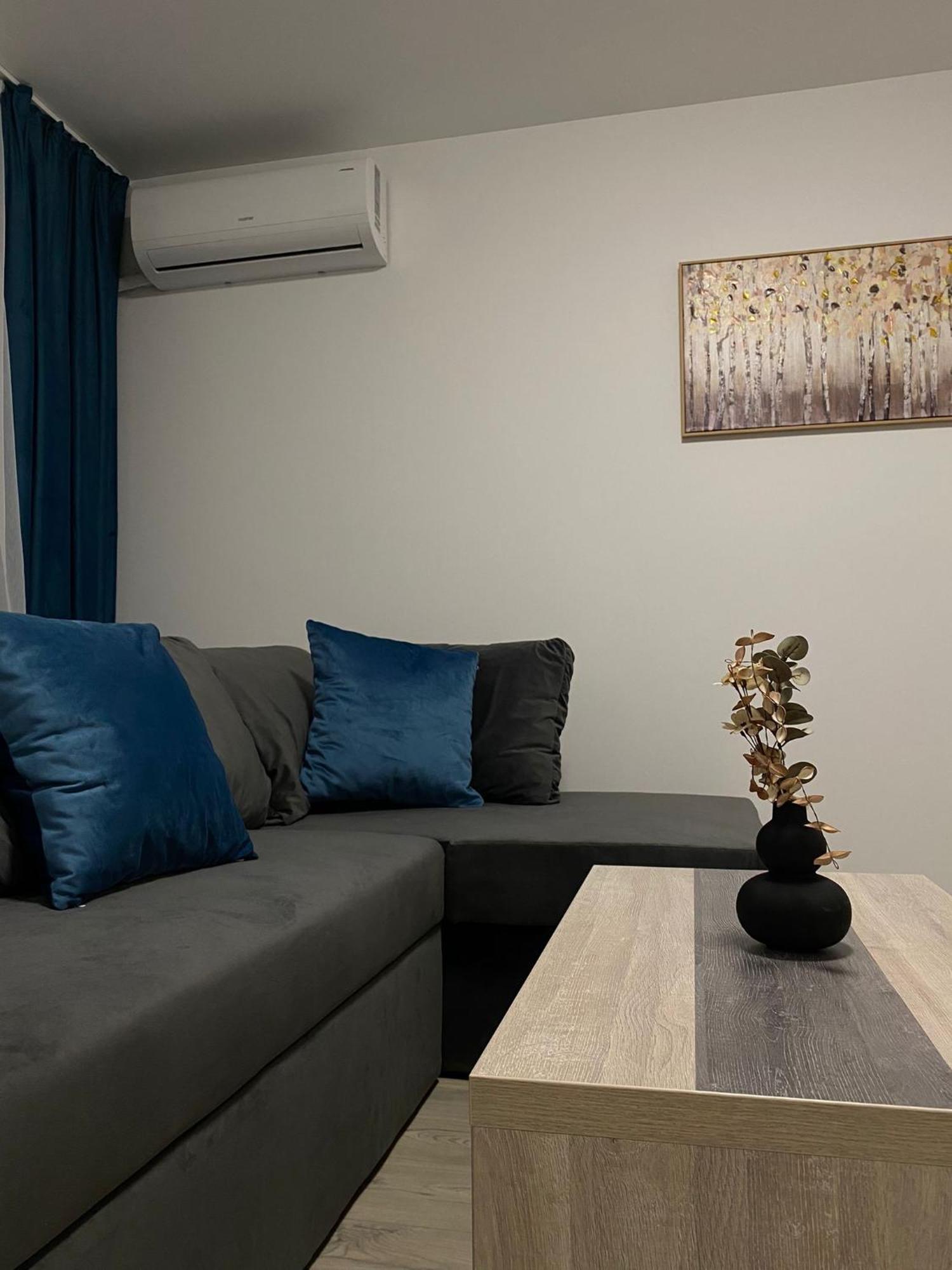 טימישוארה Comfort & Luxury Apartaments Pnmresidence מראה חיצוני תמונה