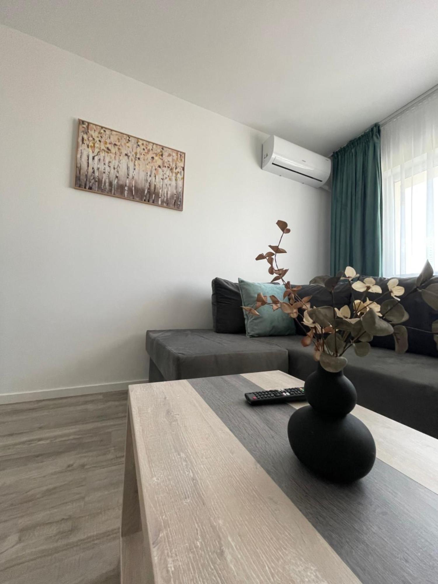 טימישוארה Comfort & Luxury Apartaments Pnmresidence מראה חיצוני תמונה