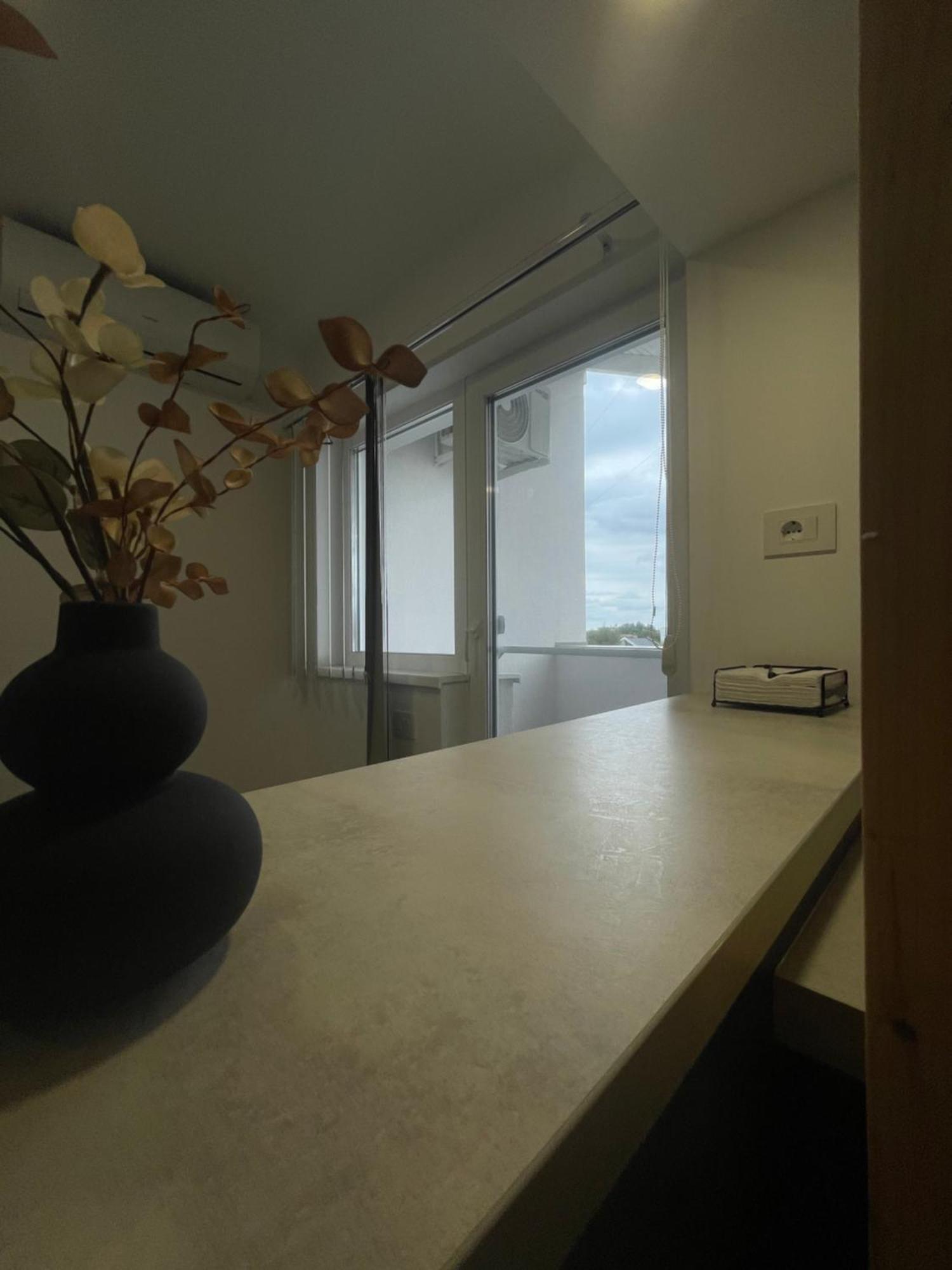 טימישוארה Comfort & Luxury Apartaments Pnmresidence מראה חיצוני תמונה