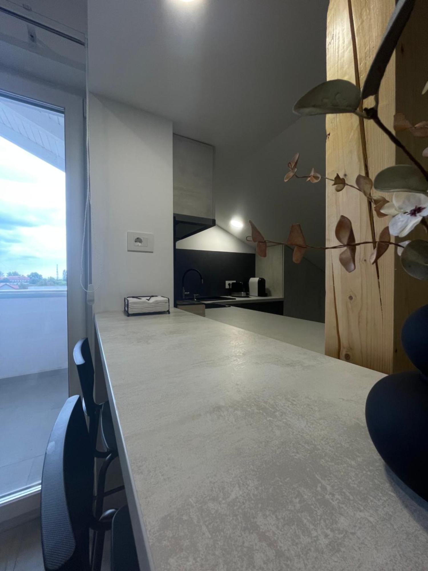 טימישוארה Comfort & Luxury Apartaments Pnmresidence מראה חיצוני תמונה