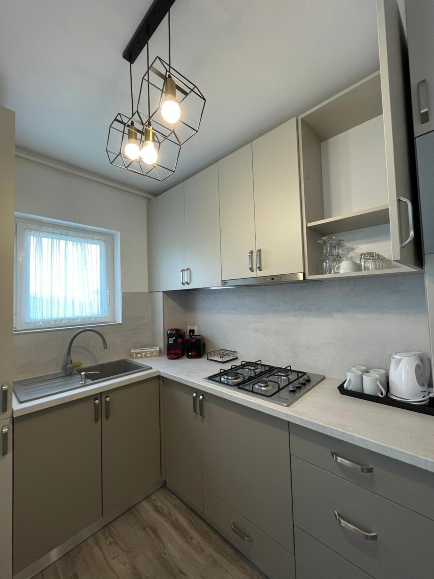 טימישוארה Comfort & Luxury Apartaments Pnmresidence מראה חיצוני תמונה