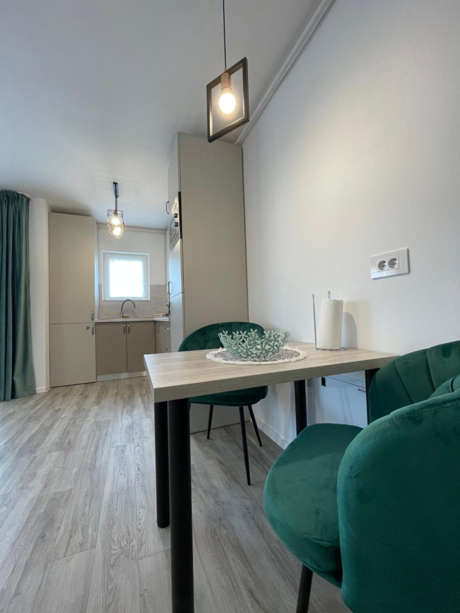 טימישוארה Comfort & Luxury Apartaments Pnmresidence מראה חיצוני תמונה