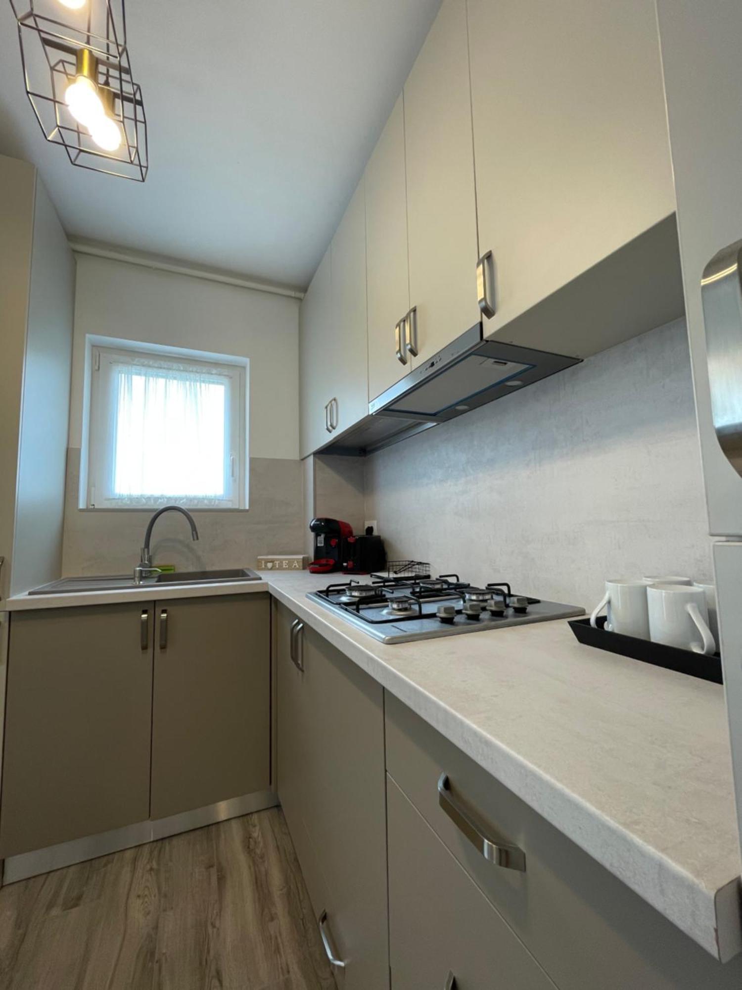 טימישוארה Comfort & Luxury Apartaments Pnmresidence מראה חיצוני תמונה