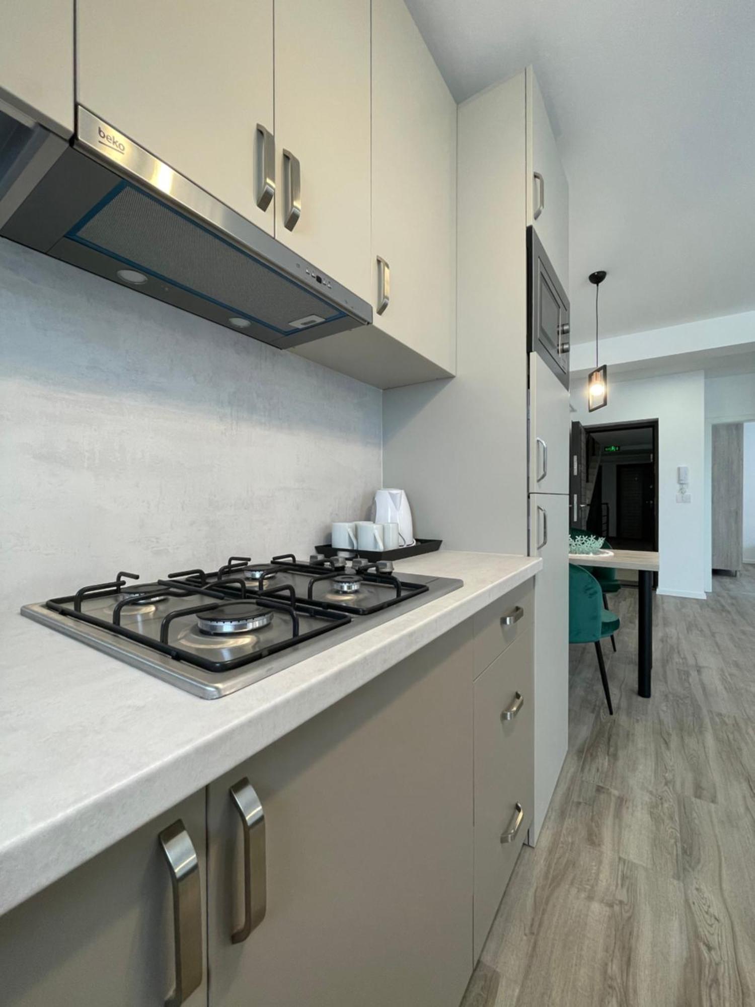 טימישוארה Comfort & Luxury Apartaments Pnmresidence מראה חיצוני תמונה